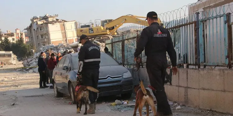 Köpekler yaralı halde enkazdan enkaza koştu