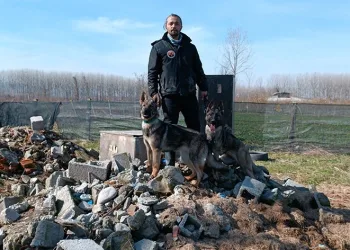 Hayat kurtaran köpekler böyle yetişiyor