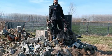 Hayat kurtaran köpekler böyle yetişiyor