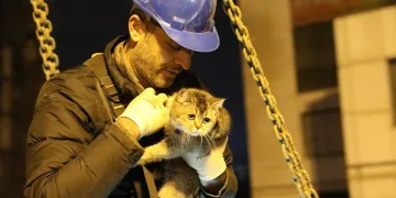 “Zena” isimli kedi kurtarıldı
