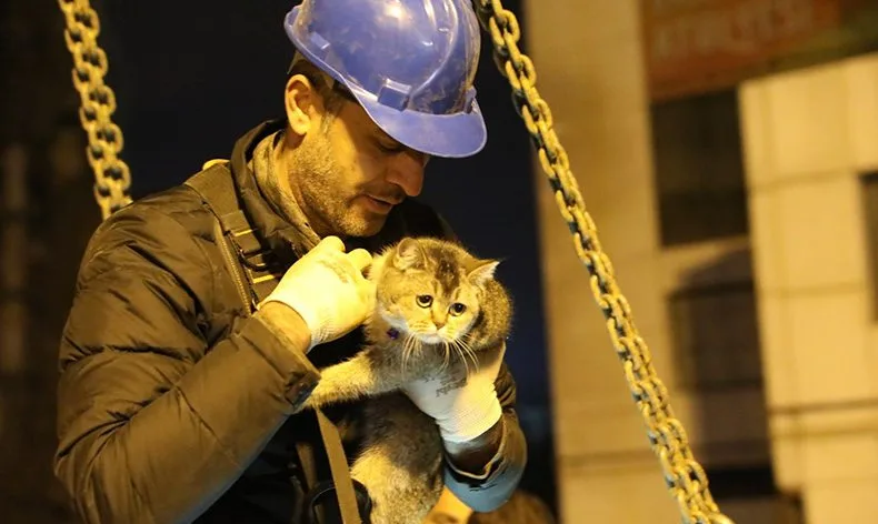 “Zena” isimli kedi kurtarıldı