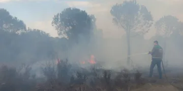 1 hektar alan yanarak küle döndü