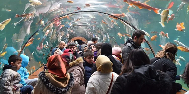 ‘Karne Sizden Cazibe’de Bilet Bizden’