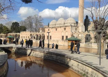 Balıklıgöl suyu deprem sonrası çamur rengine büründü