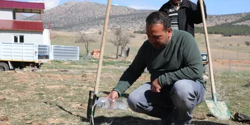Korkuteli’de antepfıstığı yetiştiriciliği
