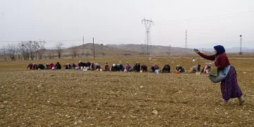 Dünyaca ünlü sarımsak toprakla buluşuyor