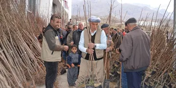 Vatandaşa10 bin fidan hibe edildi