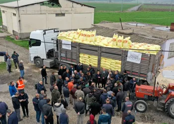 Arpa ve buğday üreticilerine gübre desteği