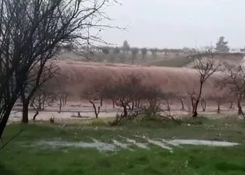 Şanlıurfa’da felaketin boyutu gündüz ortaya çıktı