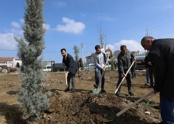 Akhisar’da 64 fidan toprakla buluştu