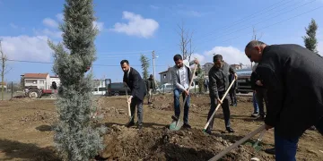 Akhisar’da 64 fidan toprakla buluştu