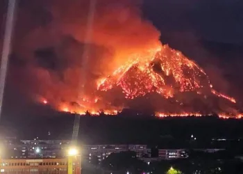 Milli parkta yangın çıktı