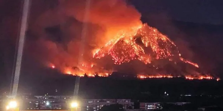 Milli parkta yangın çıktı