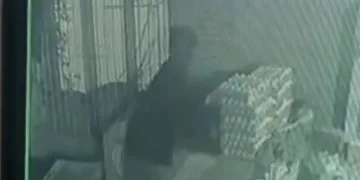 Market önünden yumurta çalınma anı