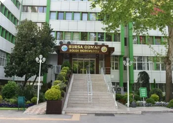 21 Mart Dünya Ormancılık Günü