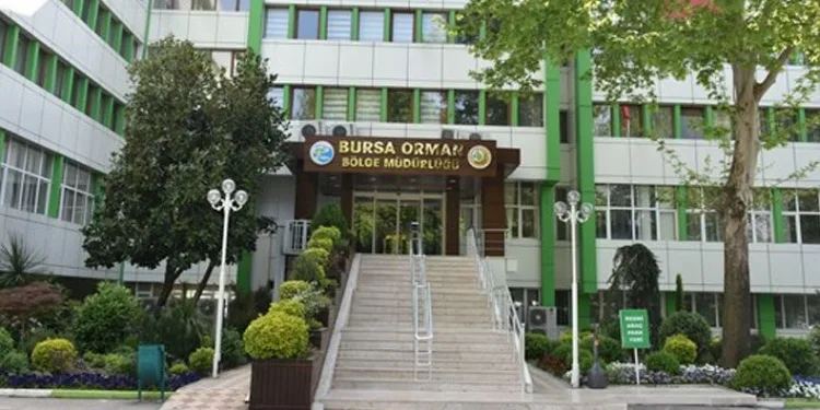 21 Mart Dünya Ormancılık Günü