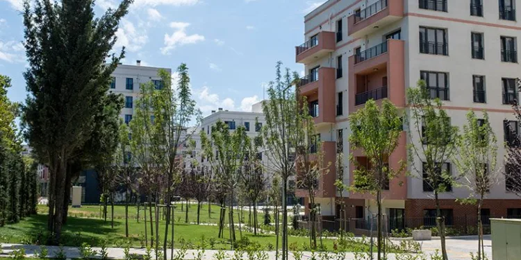 “İlk İş Yerim”in ilk kuraları