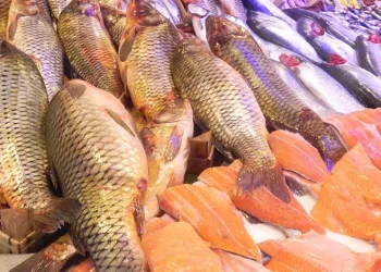 Ramazan ayın balık satışlarını arttırdı