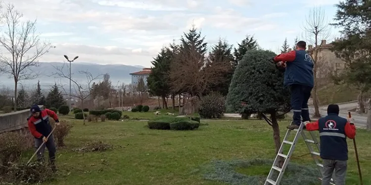 Hem çiçeklendiriyor hem güzelleştiriyorlar