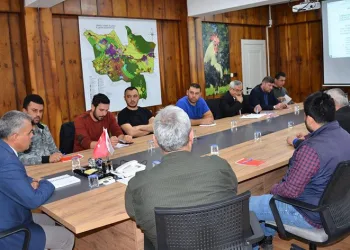 Denizli’de hayvan alım ve satımı yasaklandı