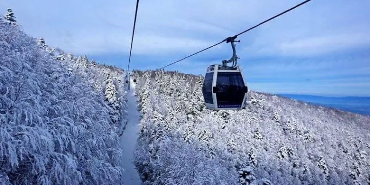 Teleferiğe 3 haftalık bakım molası