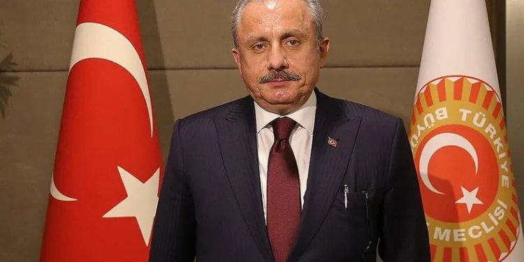 “Erdoğan’ın adaylığı tartışması siyasidir, hukuki değil”
