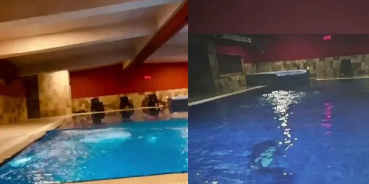Hem kolonsuz hem izinsiz