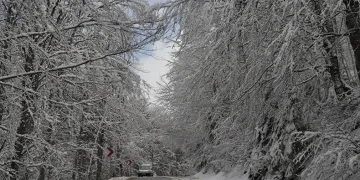 Abant’ta Mart ayında kar sürprizi