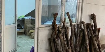 En mutlu gününde hayatını kaybetti