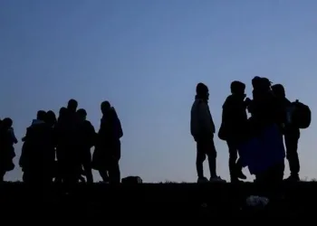 Düzensiz göçle mücadele verileri