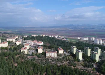 Osmaniye’de leyleklerin göçü görüntülendi