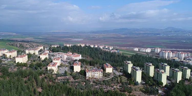 Osmaniye’de leyleklerin göçü görüntülendi