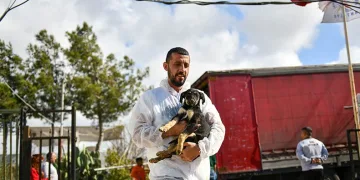 Enkazdan kurtarılan köpekler tedaviye alındı