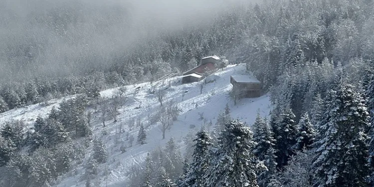 Kastamonu’nun yüksek kesimleri beyaza büründü