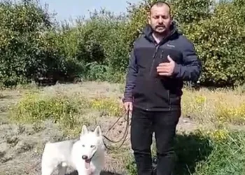 Depremzede 60 bin TL dolandırıldı