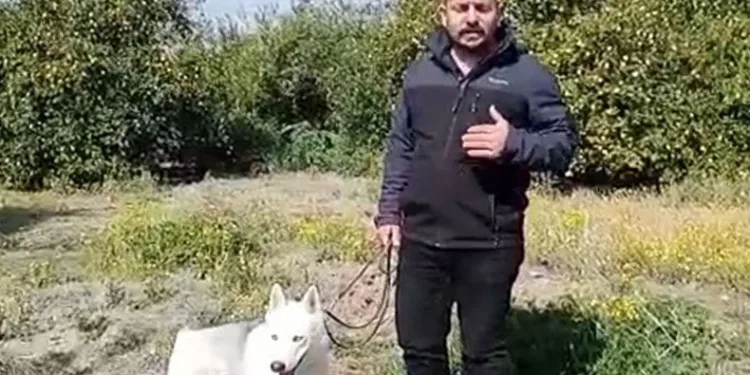 Depremzede 60 bin TL dolandırıldı