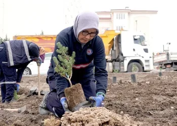 Kişi başı 25 metrekare yeşil alan