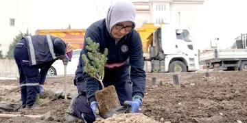 Kişi başı 25 metrekare yeşil alan