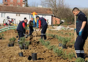 Gündoğdu lavanta ile canlandırılacak
