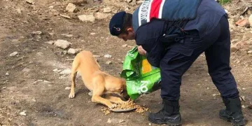 Jandarma sokak hayvanlarını unutmadı