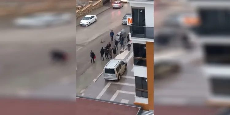 Sağanak yağış altında dakikalarca kavga ettiler