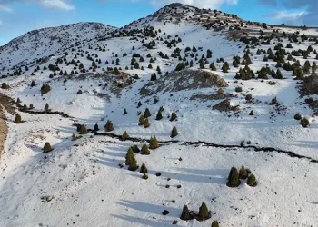 Kahramanmaraş’taki fay kırığı görüntülendi
