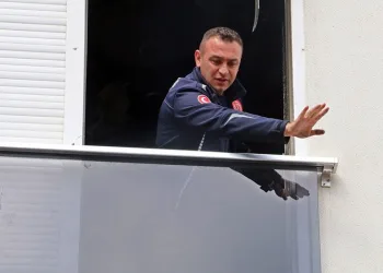 Mahsur kalan kediyi itfaiye kurtardı