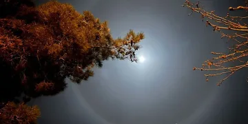 Ay halesi tedirginlik oluşturdu