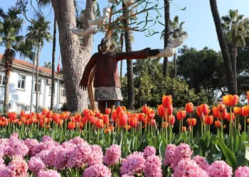 Alanya çiçeklerle renklendi