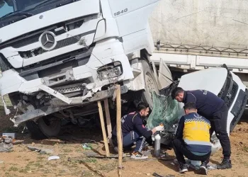 Mardin’de tır otomobili biçti
