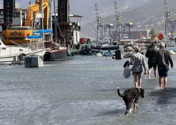 Lodos, balıkçı barınağını esir aldı