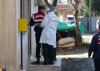 Ordu’da kadın cinayeti