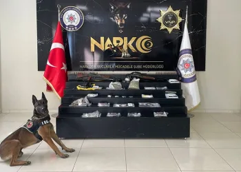 Van’da ‘Kökünü Kurutma’ operasyonu