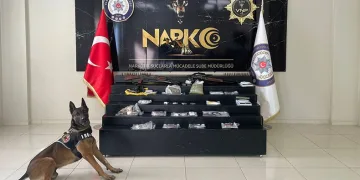 Van’da ‘Kökünü Kurutma’ operasyonu
